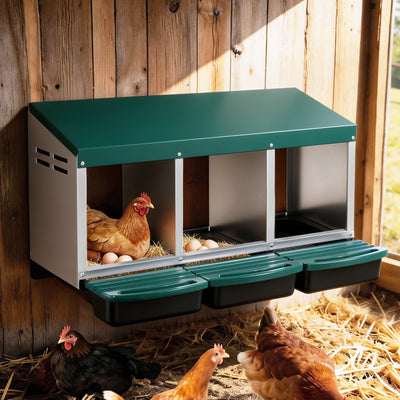 i.Pet Chicken Nesting Box Roll Away 3 Holes Metal Wall Mounted Nest Box Green