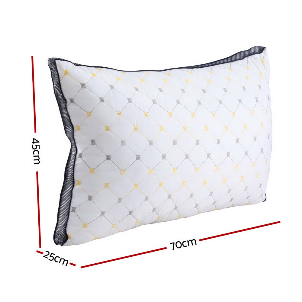 Giselle 2pcs Pillows Microfibre Awezingly