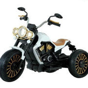 3 Wheels Motorcycle Does Not Apply