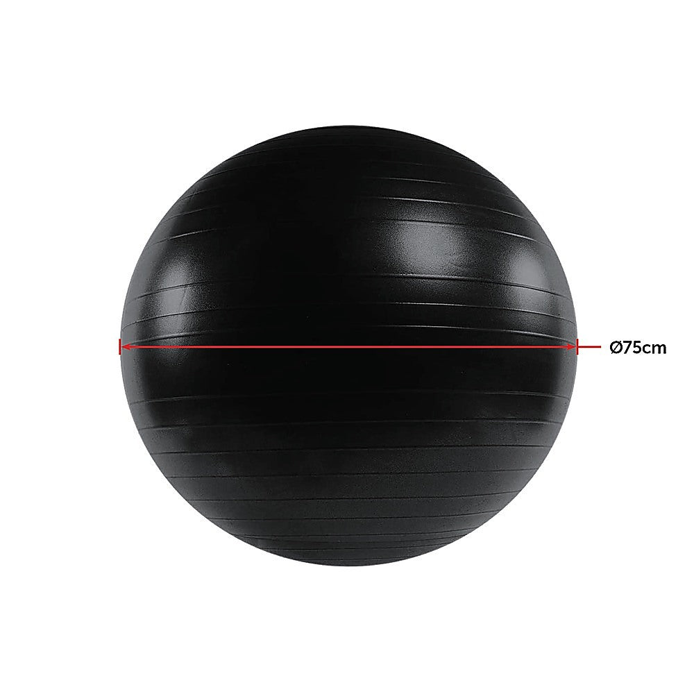 75cm Static Strength Exercise Stability Ball with Pump Does not apply