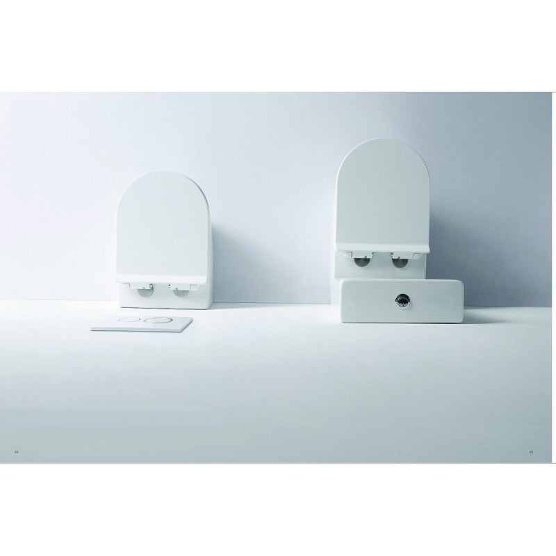 Flay-R Rimless back to wall floor pan Does not apply