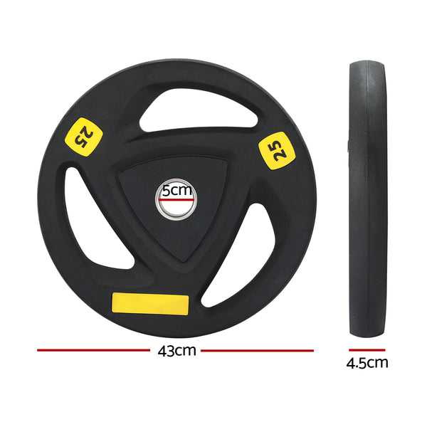 Everfit Weight Plates Standard 25kg Dumbbells Barbells Plate Weight Lifting Home Gym Everfit