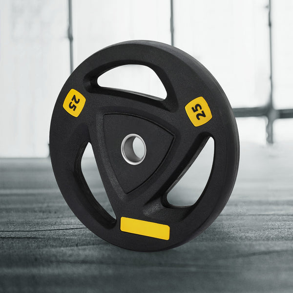 Everfit Weight Plates Standard 25kg Dumbbells Barbells Plate Weight Lifting Home Gym Everfit