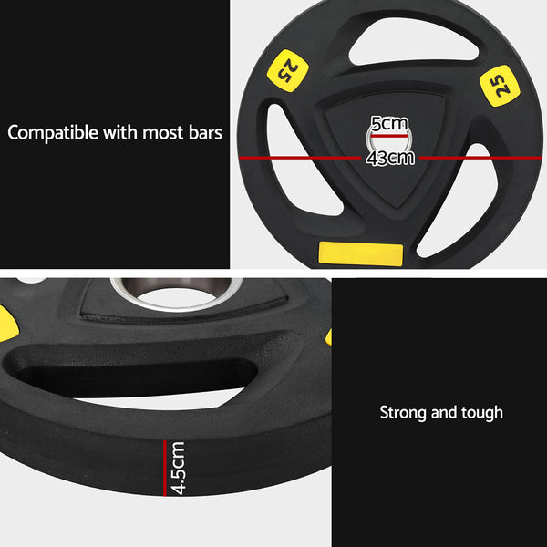 Everfit Weight Plates Standard 25kg Dumbbells Barbells Plate Weight Lifting Home Gym Everfit