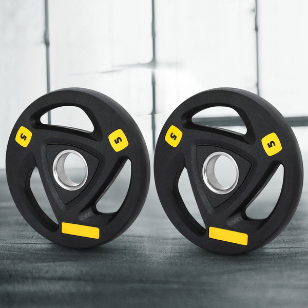 Everfit Weight Plates Standard 5kgx2 Dumbbells Barbells Plate Weight Lifting Home Everfit