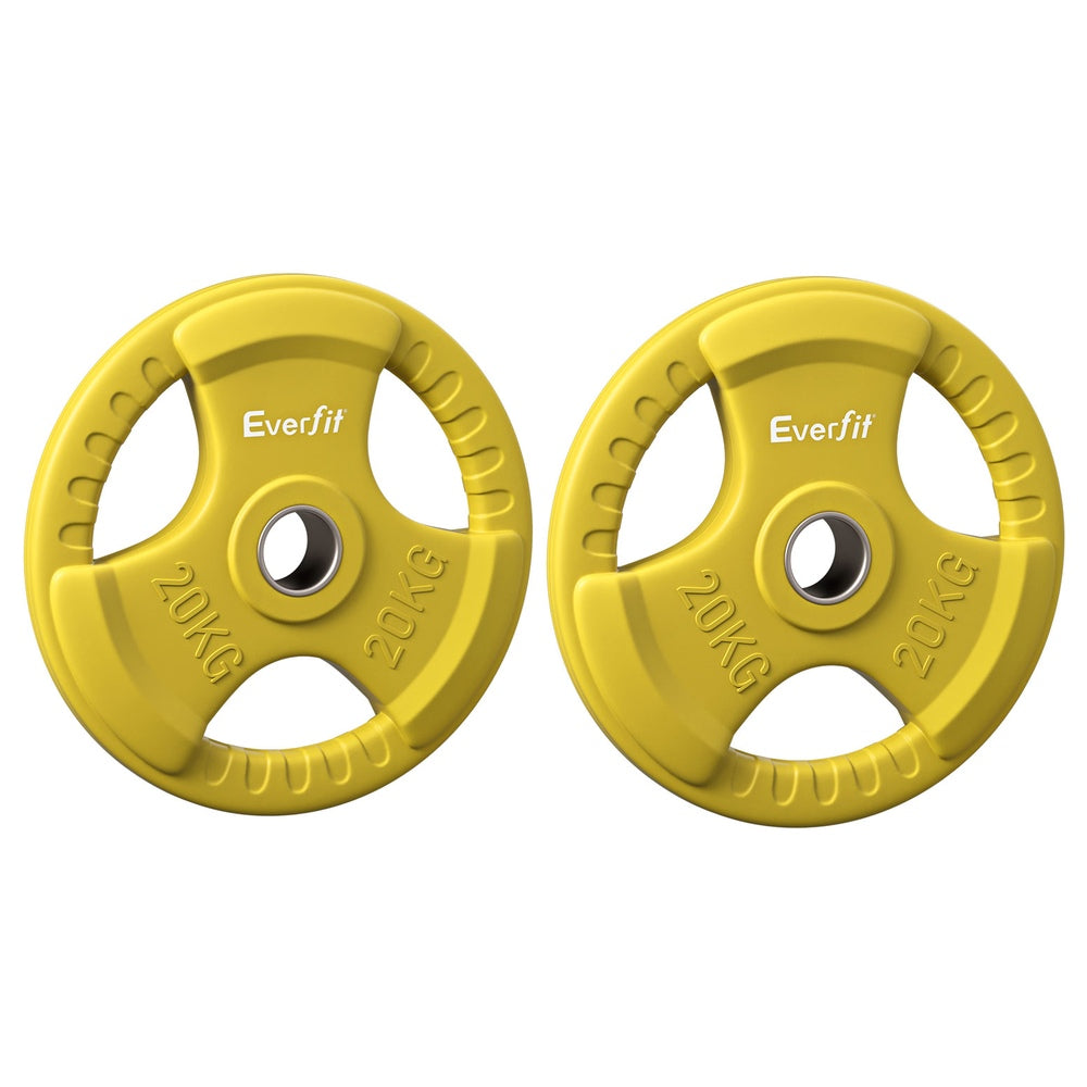 Everfit Weight Plates Standard 20kgx2 Dumbbell Barbell Plate Weight Lifting Home Gym Yellow Everfit
