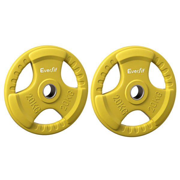 Everfit Weight Plates Standard 20kgx2 Dumbbell Barbell Plate Weight Lifting Home Gym Yellow Everfit