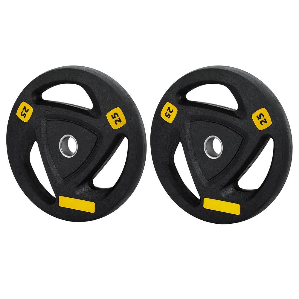 Everfit Weight Plates Standard 25kgx2 Dumbbells Barbells Plate Weight Lifting Home Gym Everfit