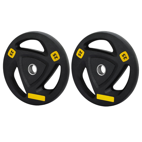 Everfit Weight Plates Standard 25kgx2 Dumbbells Barbells Plate Weight Lifting Home Gym Everfit