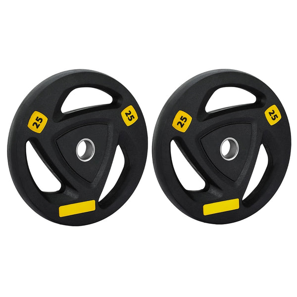 Everfit Weight Plates Standard 25kgx2 Dumbbells Barbells Plate Weight Lifting Home Gym Everfit