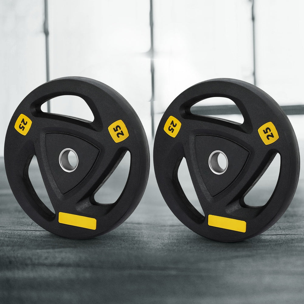 Everfit Weight Plates Standard 25kgx2 Dumbbells Barbells Plate Weight Lifting Home Gym Everfit