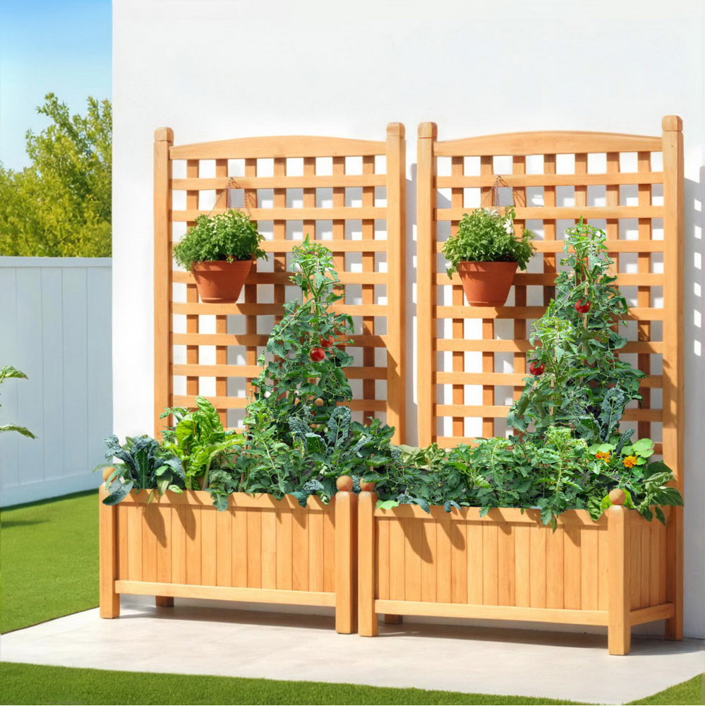 Green Fingers 2X Garden Bed Wooden 64x35x115cm Planter Raised Box Container Trellis Awezingly
