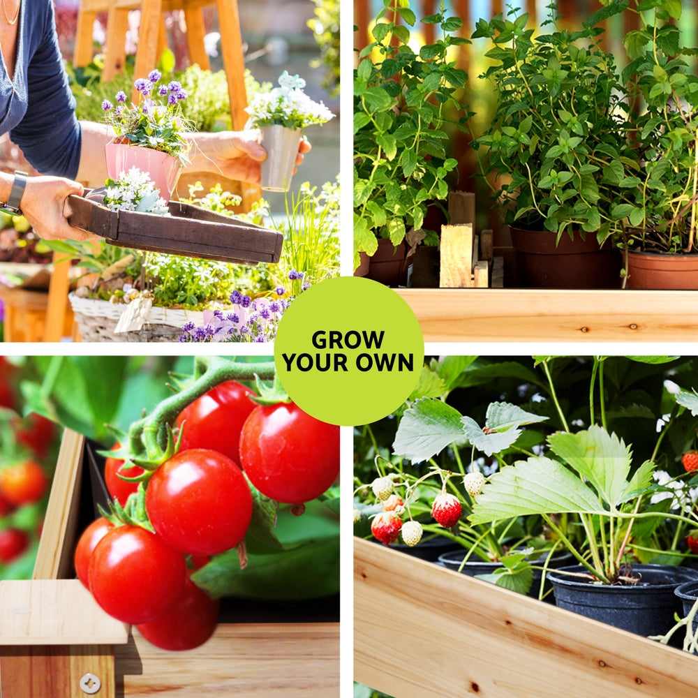 Green Fingers Garden Bed Elevated 120x60x80cm Wooden Planter Box Raised Container Greenfingers