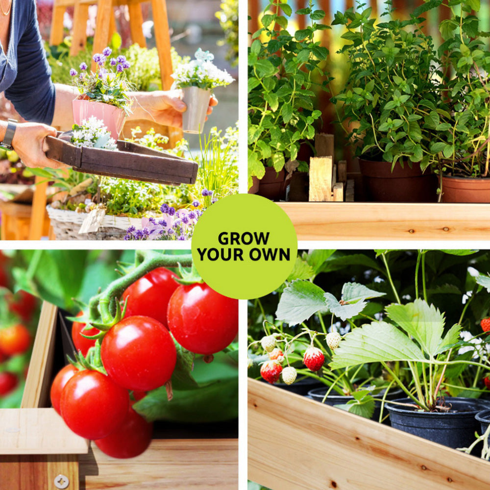 Green Fingers Raised Garden Bed 2x Elevated 120x60x80cm Wooden Planter Box Container Awezingly