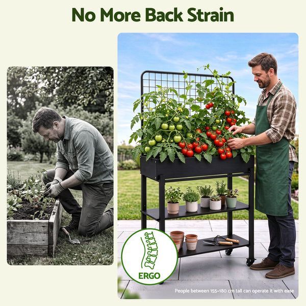 Green Fingers Mobile Raised Garden Bed with Trellis & Shelves Dark Grey Awezingly