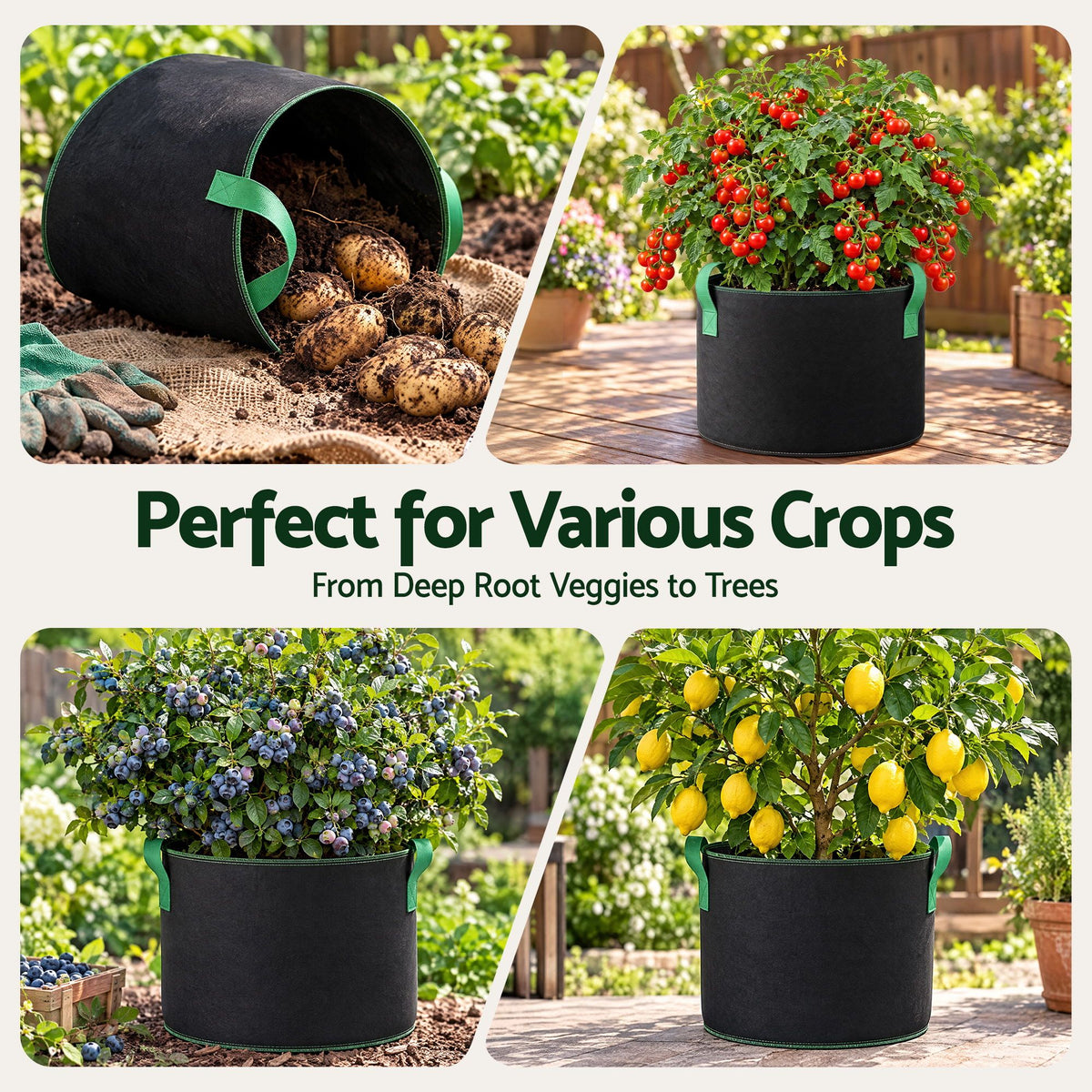 Green Fingers 15 Gallon Grow Bags 300gsm thick Aeration Fabric Pots 10 Pack Awezingly