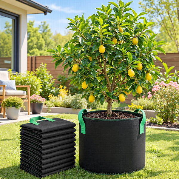 Green Fingers 20 Gallon Grow Bags 300gsm thick Aeration Fabric Pots 10 Pack Awezingly