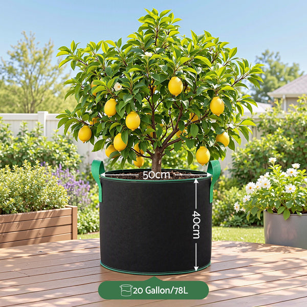 Green Fingers 20 Gallon Grow Bags 300gsm thick Aeration Fabric Pots 10 Pack Awezingly