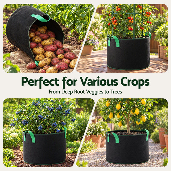 Green Fingers 20 Gallon Grow Bags 300gsm thick Aeration Fabric Pots 10 Pack Awezingly