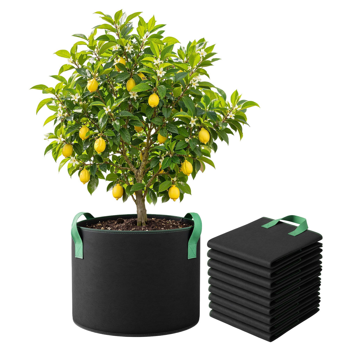 Green Fingers 20 Gallon Grow Bags 300gsm thick Aeration Fabric Pots 10 Pack Awezingly