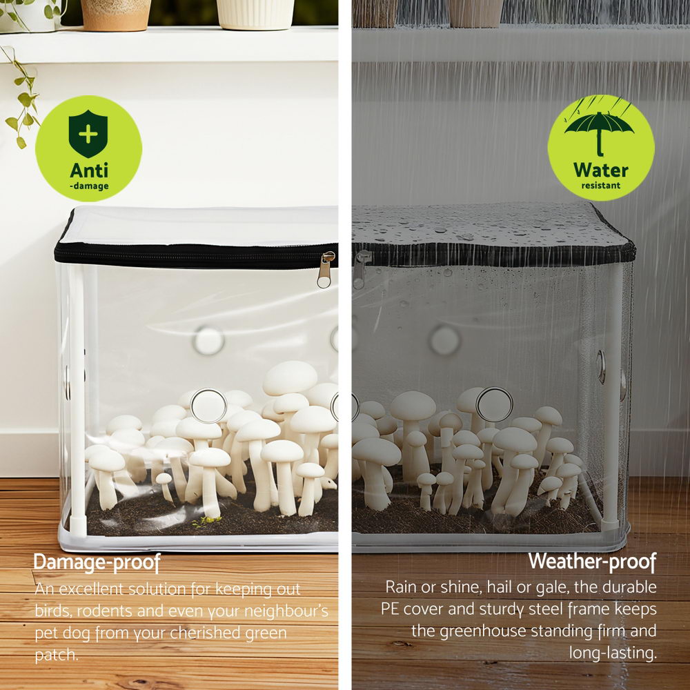 Green Fingers Mini Greenhouse 50x25x25cm PVC Cover for Mushrooms Succulents Awezingly
