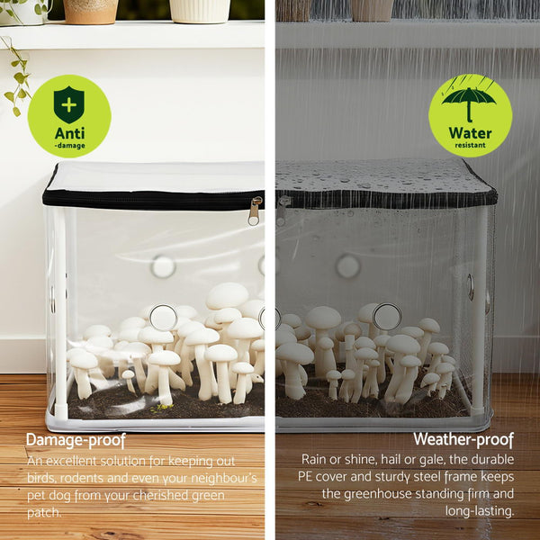 Green Fingers Mini Greenhouse 50x25x25cm PVC Cover for Mushrooms Succulents Awezingly