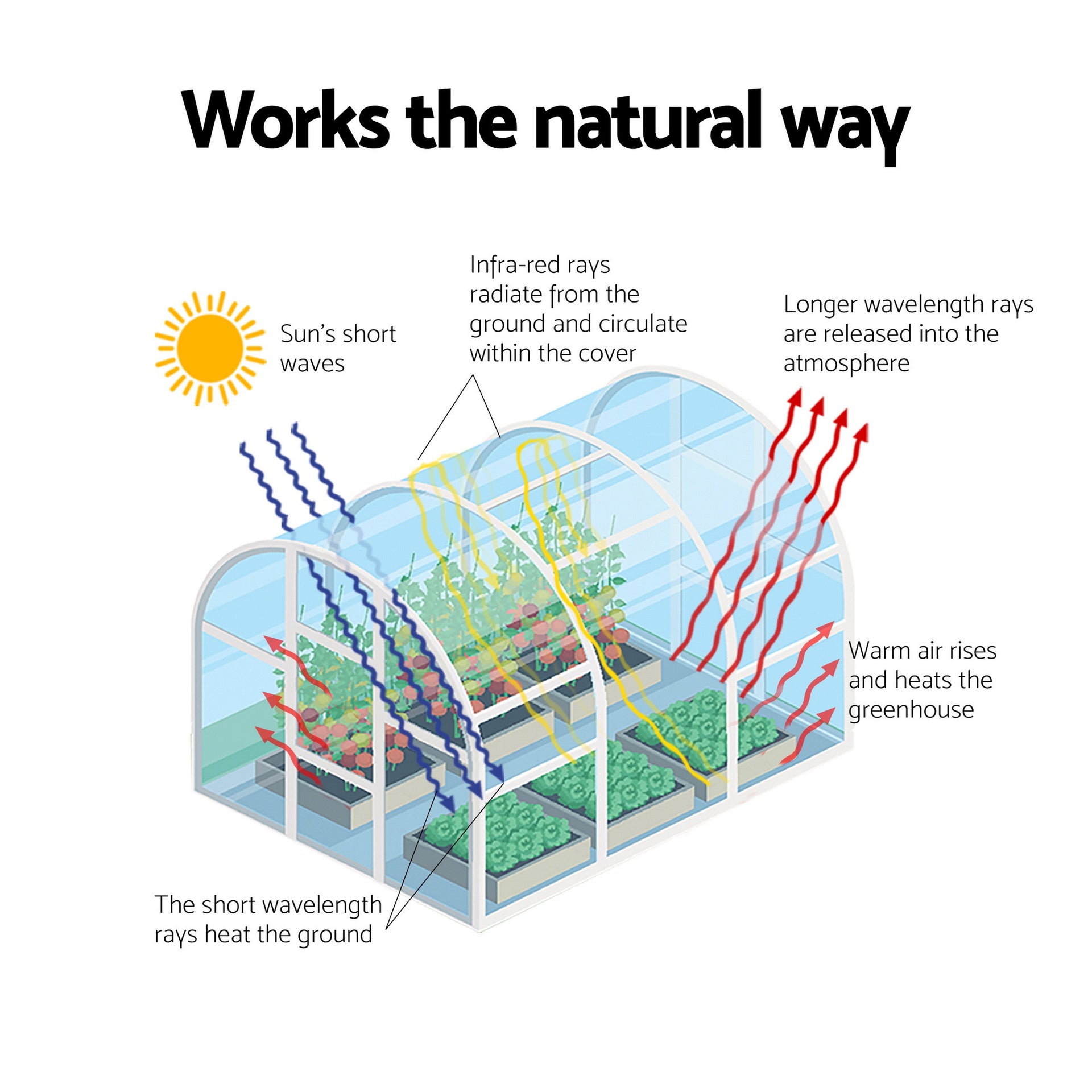 Green Fingers Greenhouse 3x2x2M Walk in Green House White Awezingly
