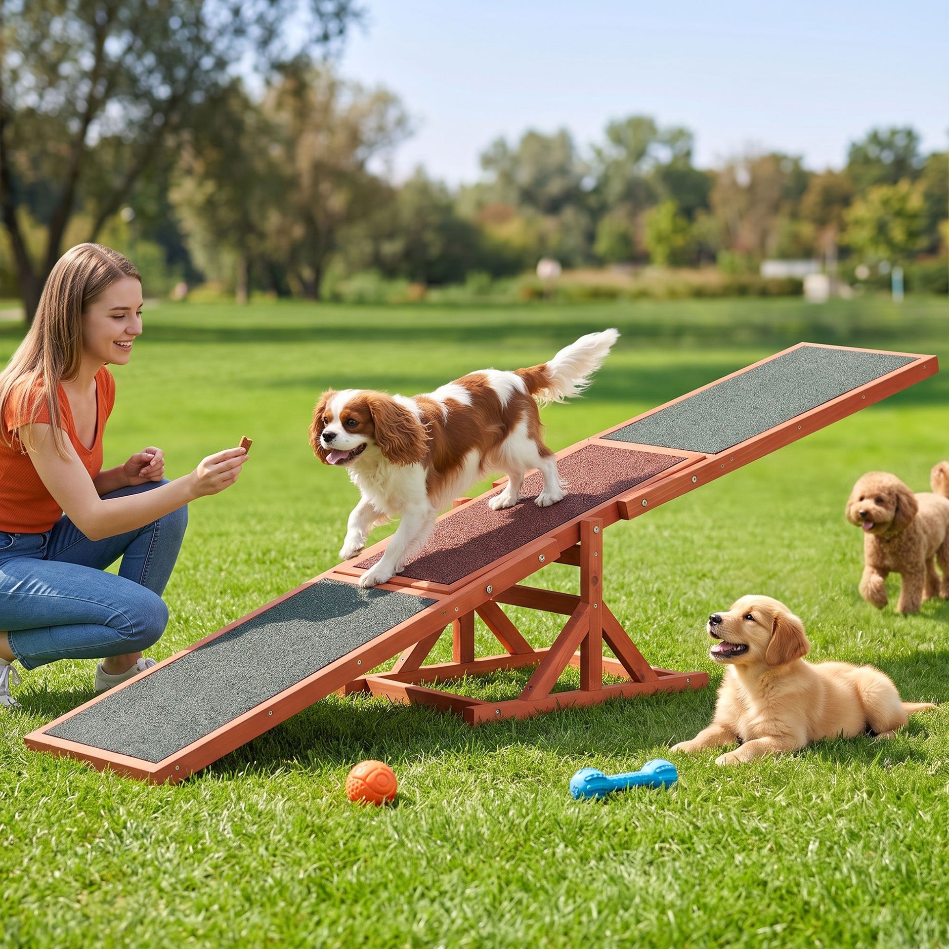 i.Pet Dog Agility Equipment Pet Seesaw Obedience Training Puppy Obstacle Outdoor Play 180cm Awezingly