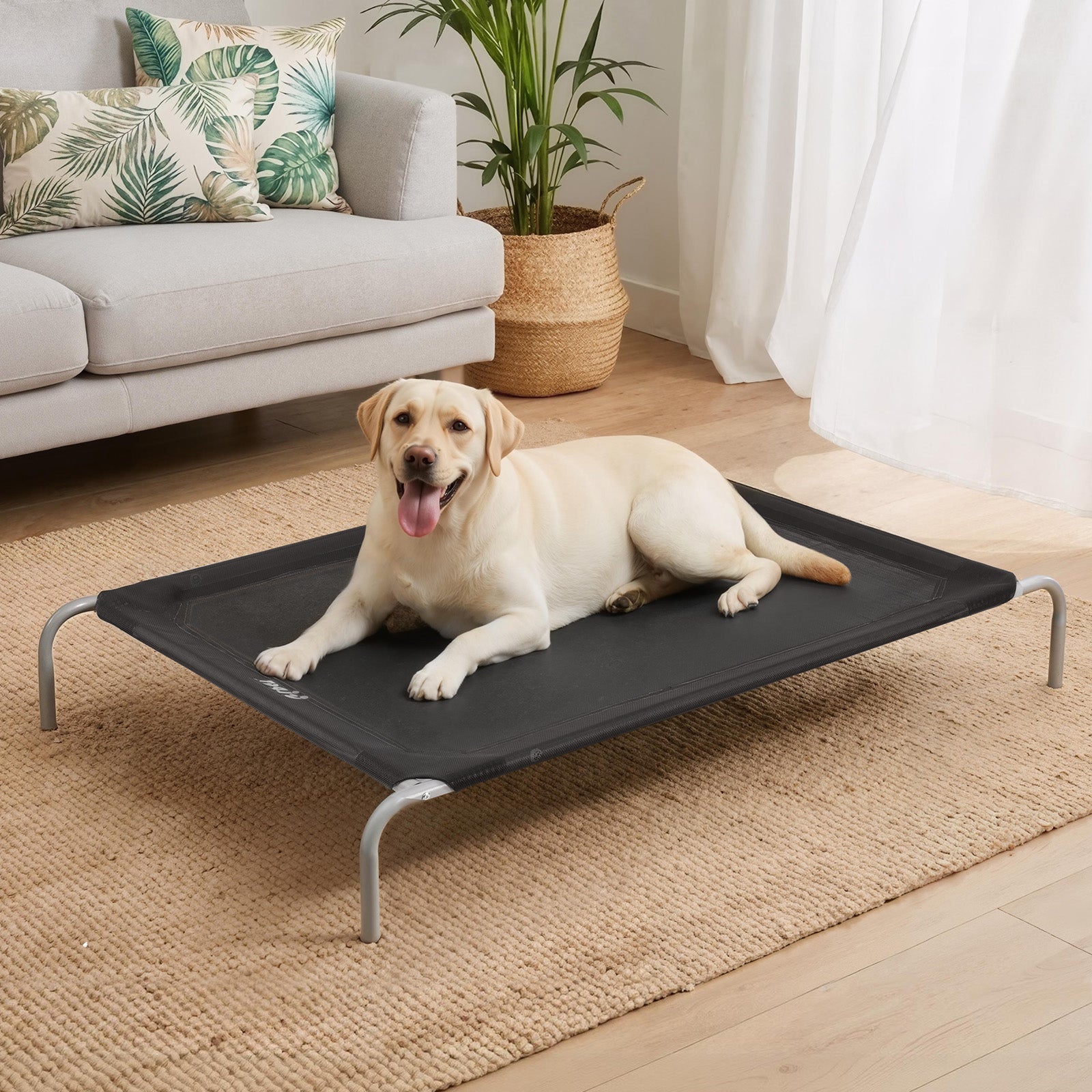 i.Pet Pet Dog Bed Elevated Trampoline Durable Raised Heavy Duty Large Dogs 90x137cm Black Awezingly