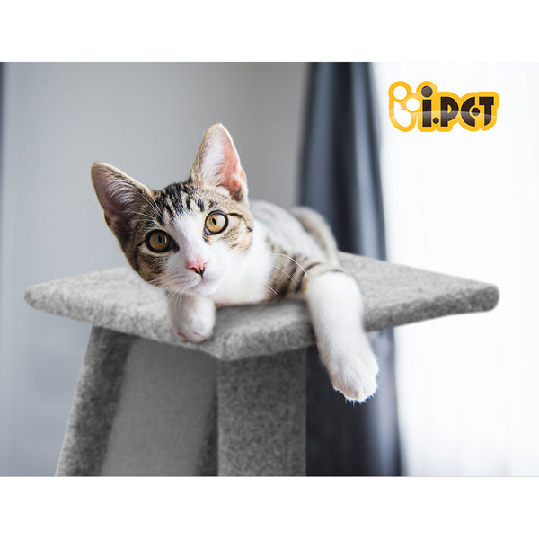 i.Pet Cat Tree 82cm Scratching Post Tower Scratcher Condo Trees Climb House i.Pet