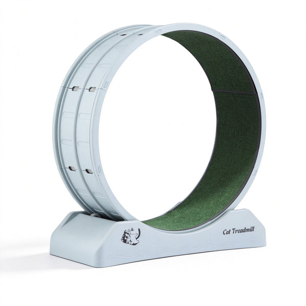 i.Pet Cat Exercise Wheel Treadmill Indoor 80cm Blue & Green Awezingly