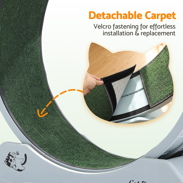 i.Pet Cat Exercise Wheel Treadmill Indoor 80cm Blue & Green Awezingly