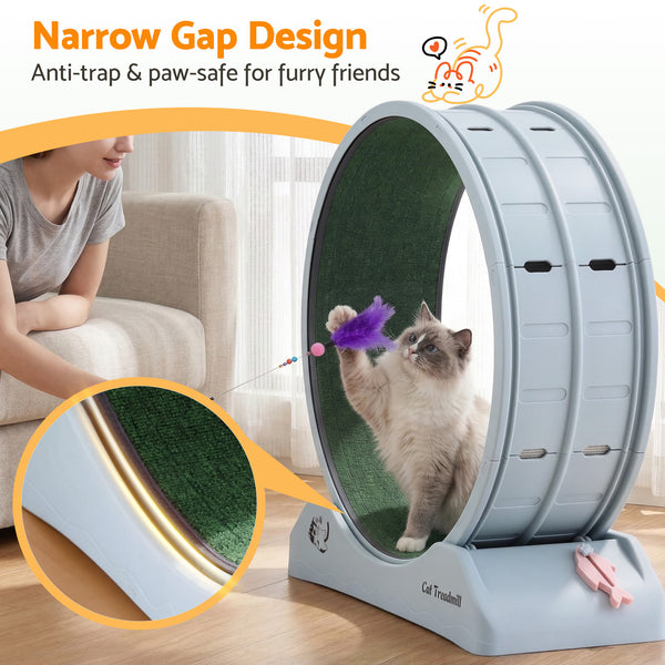 i.Pet Cat Exercise Wheel Treadmill Indoor 80cm Blue & Green Awezingly