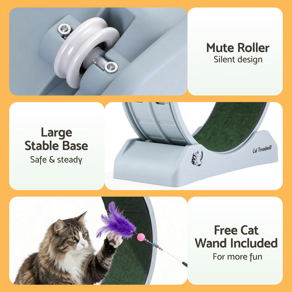 i.Pet Cat Exercise Wheel Treadmill Indoor 80cm Blue & Green Awezingly