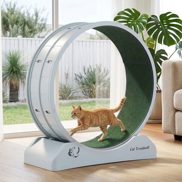 i.Pet Cat Exercise Wheel Treadmill Indoor 80cm Blue & Green Awezingly