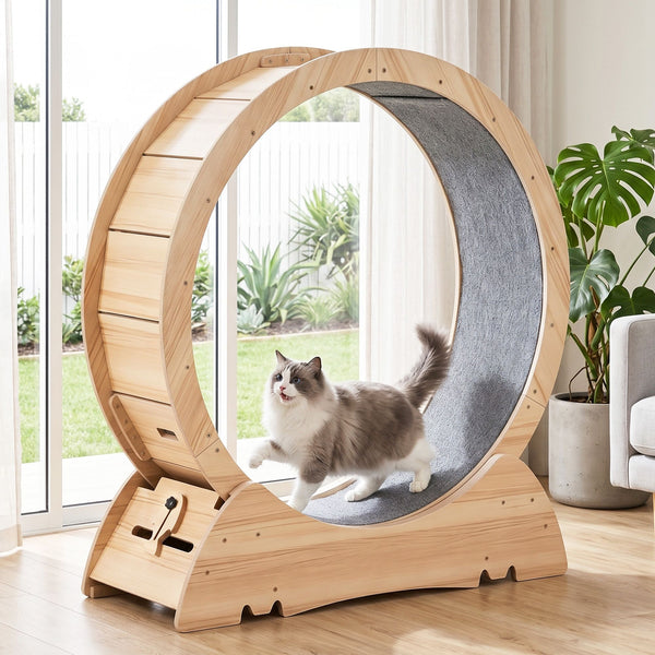 i.Pet Wooden Cat Exercise Wheel 91cm Indoor Cat Treadmill Large Awezingly