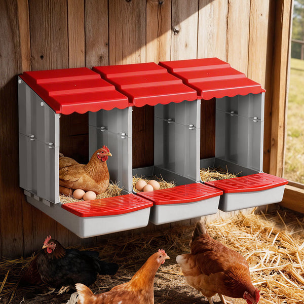 i.Pet Chicken Nesting Box 3 Hole Roll Away Poultry Hen Laying Egg Hutch Red Awezingly