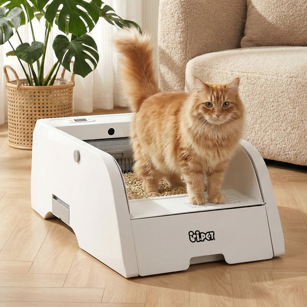 i.pet Automatic Cat Litter Box Self Cleaning Smart Pet Toilet App Control 5L White Awezingly