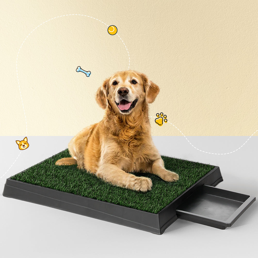 i.Pet Pet Training Pad Dog Potty Toilet Large Portable With Tray Grass 2 Mats i.Pet