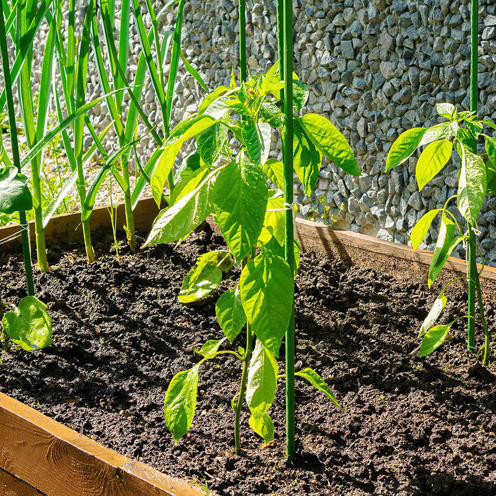 Green Fingers Garden Stakes Metal Plant Support 48pcs 60x1.1CM Greenfingers