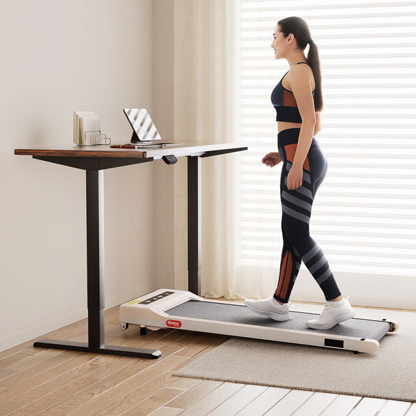 Everfit 140cm Automatic Standing Desk with 360 mm Electric Walking Pad Treadmill Everfit