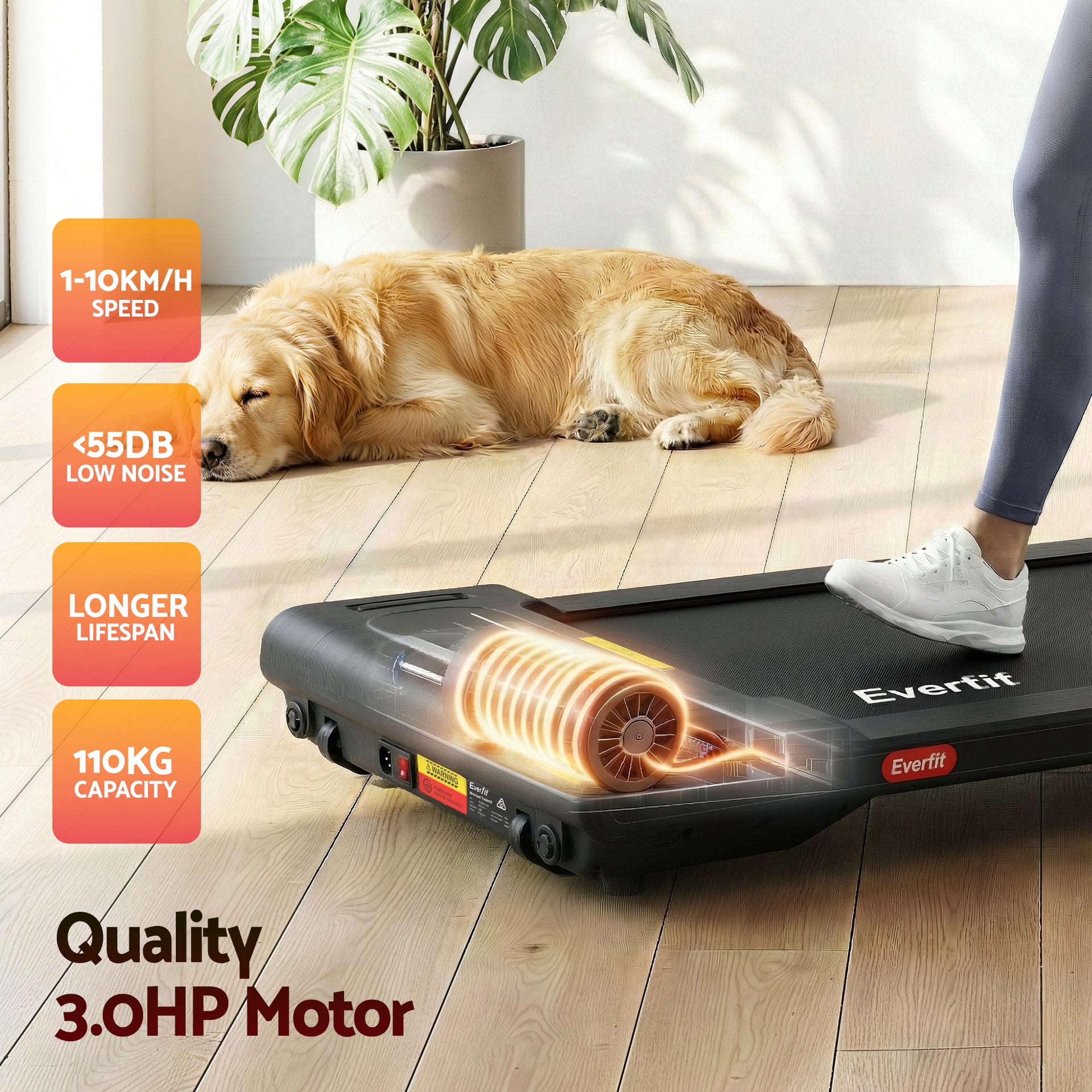 Everfit Walking Pad Treadmill 2 in 1 Foldable Under Desk for Home Gym With 38cm Belt With APP Awezingly