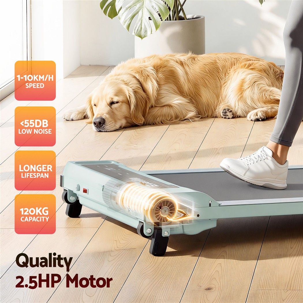 Everfit 3 in 1 Walking Pad Treadmill 12% Incline Under Desk Treadmills for Home Gym 40cmBelt Green Awezingly