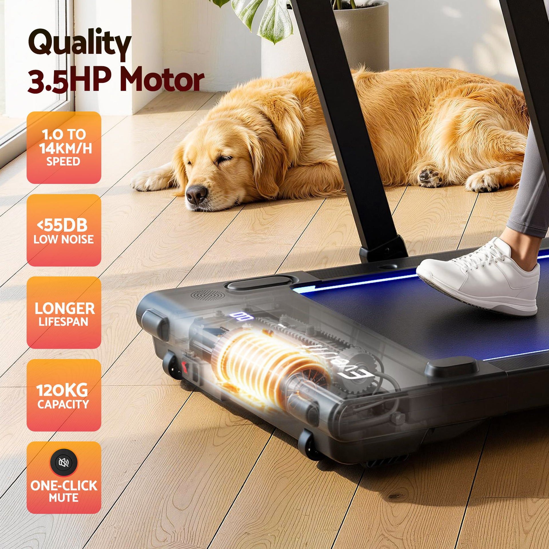 Everfit 3 in 1 Walking Pad Treadmill With Led Lights Foldable Under Desk Treadmills for Home Gym 40cm Wide Belt Black Awezingly