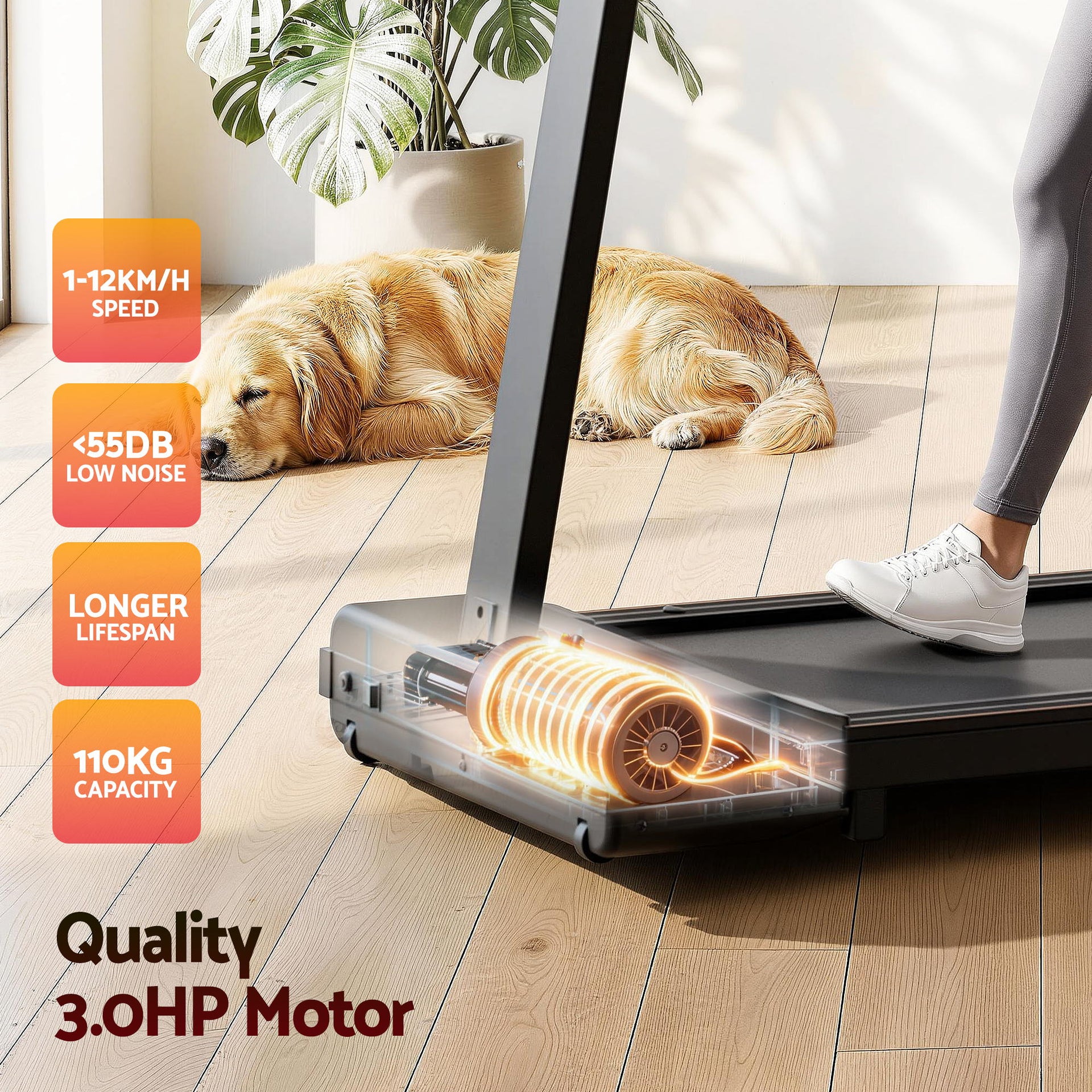 Everfit Walking Pad Treadmill 2 in 1 Foldable for Home Gym 40cm Wide Belt 12 Programs with App Awezingly