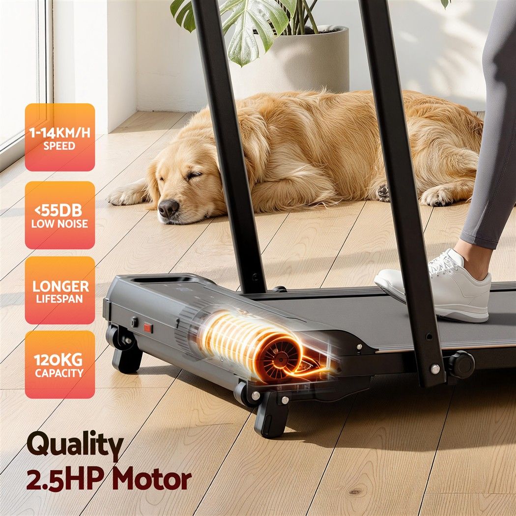 Everfit 3 in 1 Walking Pad Treadmill 12% Incline Foldable Under Desk Treadmills for Home Gym With 40cm Wide Belt Black Awezingly