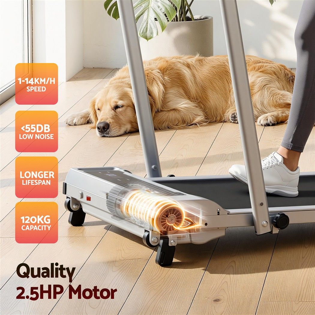 Everfit 3 in 1 Walking Pad Treadmill 12% Incline Foldable Under Desk Treadmills for Home Gym With 40cm Wide Belt Silver Awezingly