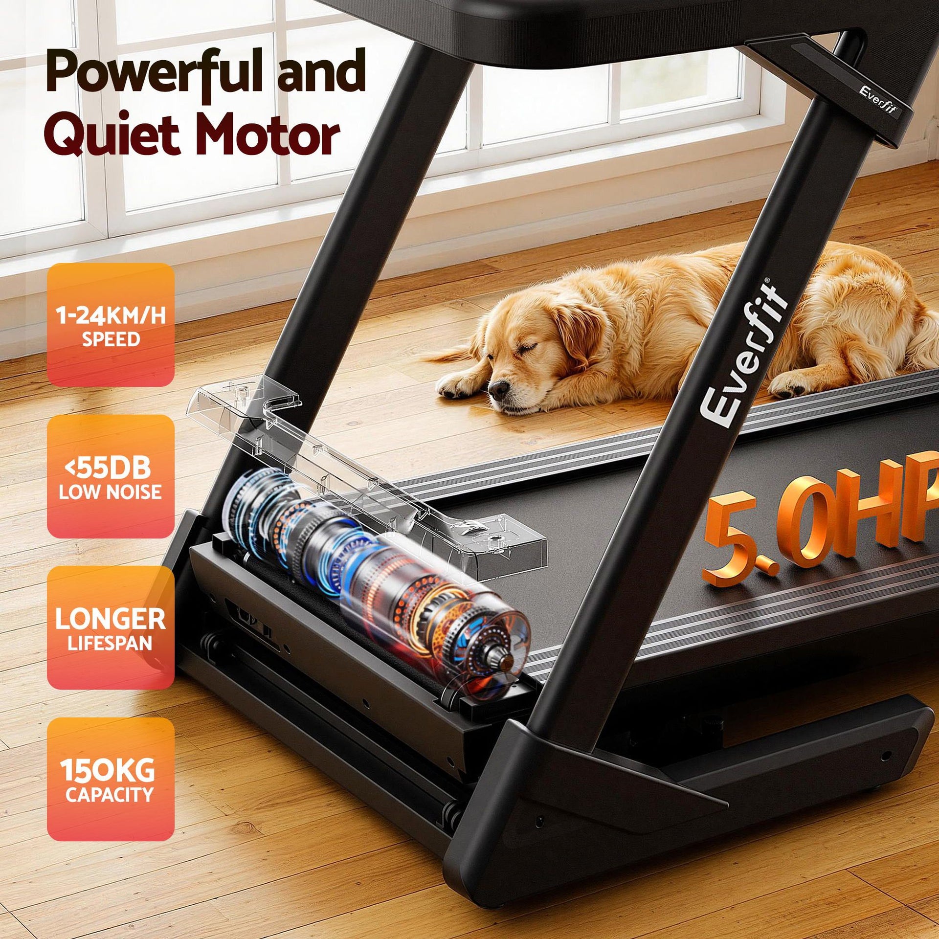 Everfit 500mm Wide Belt Treadmill 30% Auto Incline Foldable Treadmills for Home with LED Lights Awezingly