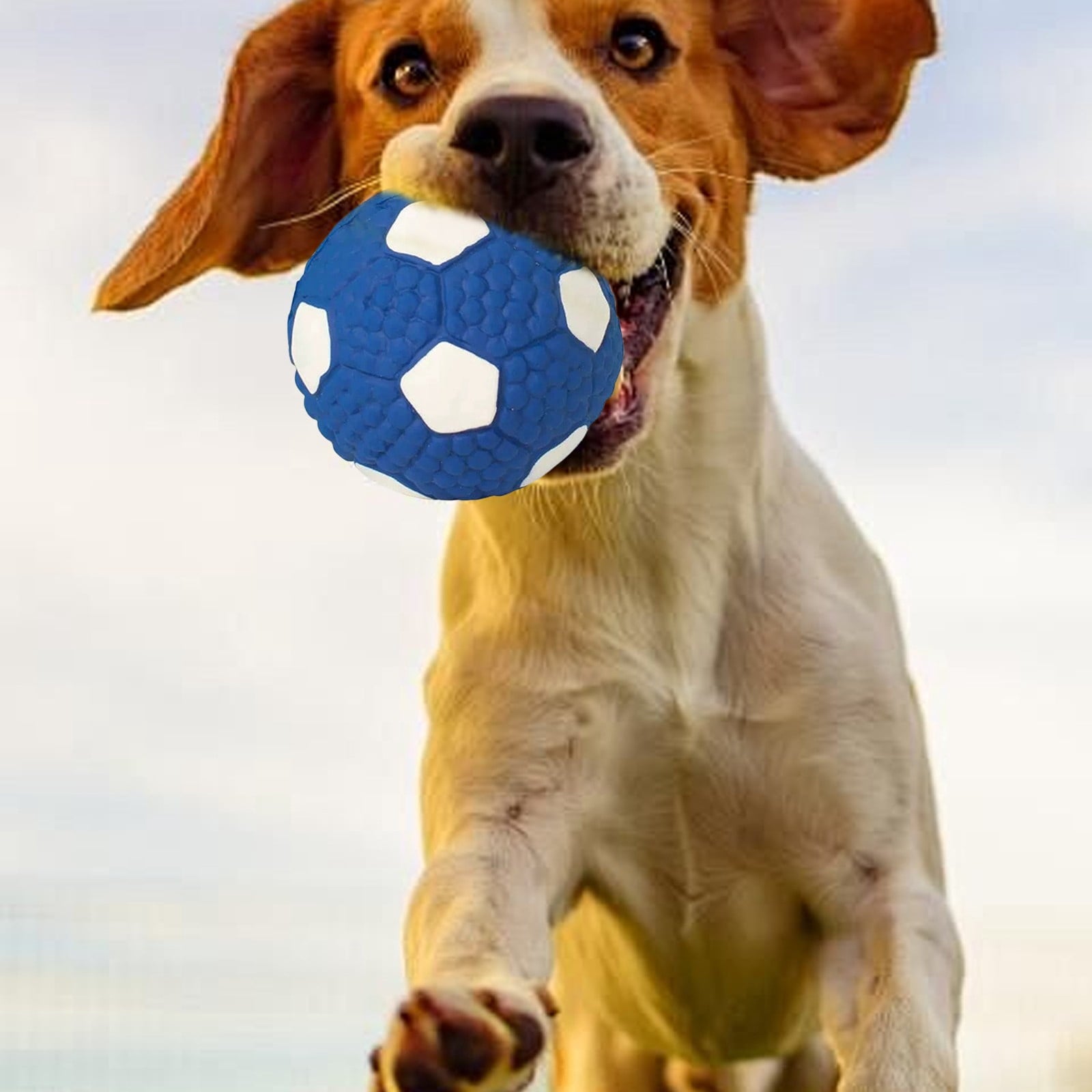 LGCASL Soccer Ball Chew Toy Dog Toy Squeak Rubber Fun Suitable for Large and Medium Sized Dogs Dog Toy Squeak Rubber Fun Suitable for Large and Medium Sized Dogs (Blue, L) L Blue Unique