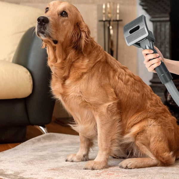Pet Grooming Brush Kit Dog Hair Brush Vacuum Attachment for Dyson V7 V8 V10 V11 Vacuum Awezingly